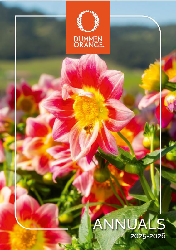 カタログ - Dümmen Orange
