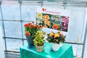 パックトライアル2023に初出展 - Dümmen Orange パックトライアル2023に初出展 - Dümmen Orange