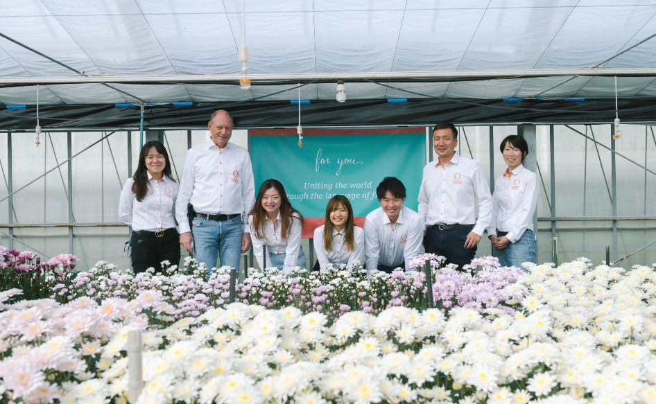 切り花マムの展示会で新境地を開拓したデュメンオレンジ - Dümmen Orange