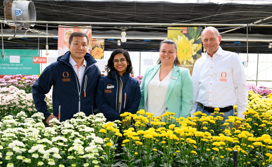 デュメンオレンジ切り花マム展示会 - Dümmen Orange