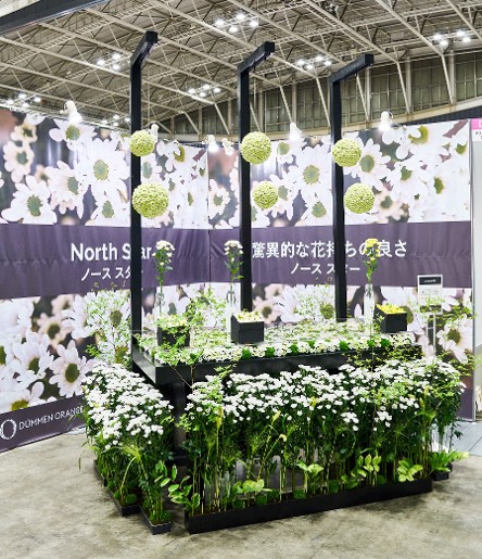 フューネラルビジネスフェアでノーススターをアピール - Dümmen Orange