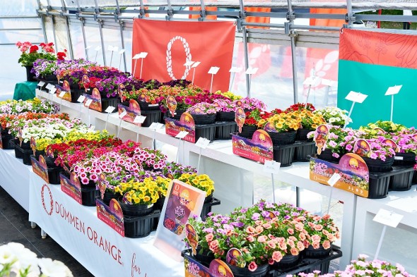 xpack-trial.jpg.pagespeed.ic.