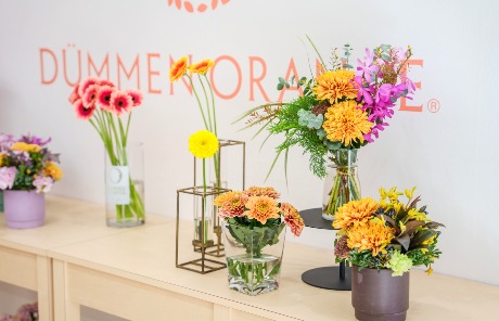 デュメンオレンジジャパン株式会社 Dümmen Orange Japan - Dümmen Orange